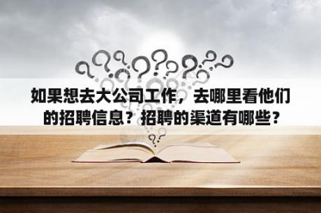 如果想去大公司工作，去哪里看他们的招聘信息？招聘的渠道有哪些？