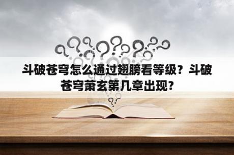 斗破苍穹怎么通过翅膀看等级？斗破苍穹萧玄第几章出现？