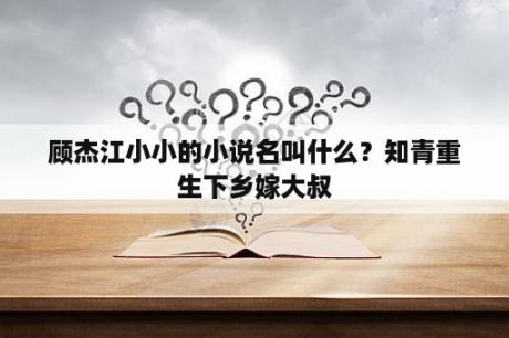 顾杰江小小的小说名叫什么？知青重生下乡嫁大叔