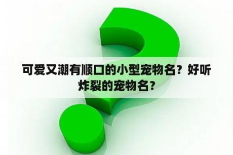 可爱又潮有顺口的小型宠物名？好听炸裂的宠物名？