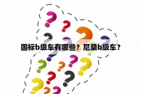 国标b级车有哪些？尼桑b级车？