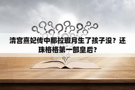 清宫熹妃传中那拉瑕月生了孩子没？还珠格格第一部皇后？