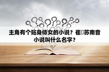 主角有个贴身侍女的小说？崔彧苏南音小说叫什么名字？