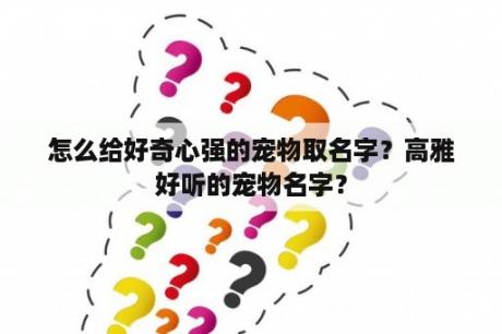 怎么给好奇心强的宠物取名字？高雅好听的宠物名字？