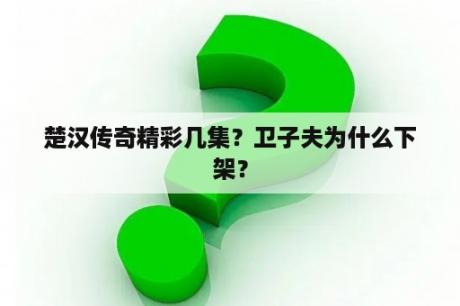 楚汉传奇精彩几集？卫子夫为什么下架？
