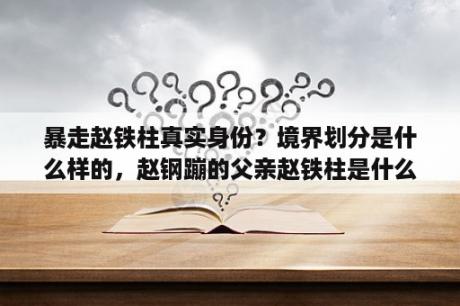 暴走赵铁柱真实身份？境界划分是什么样的，赵钢蹦的父亲赵铁柱是什么境界？