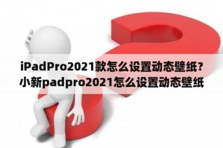 iPadPro2021款怎么设置动态壁纸？小新padpro2021怎么设置动态壁纸？