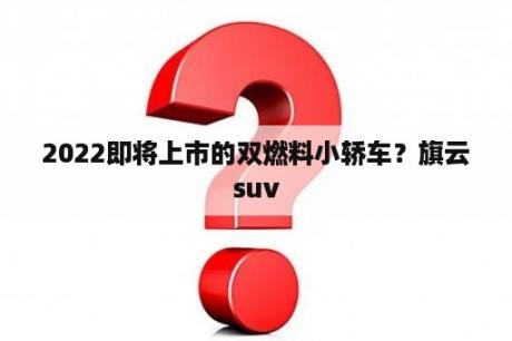 2022即将上市的双燃料小轿车？旗云suv