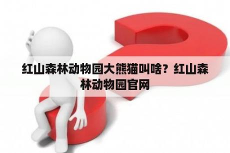 红山森林动物园大熊猫叫啥？红山森林动物园官网