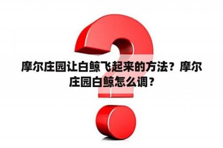 摩尔庄园让白鲸飞起来的方法？摩尔庄园白鲸怎么调？