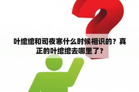 叶绾绾和司夜寒什么时候相识的？真正的叶绾绾去哪里了？