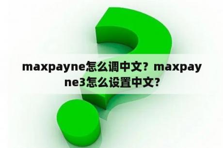 maxpayne怎么调中文？maxpayne3怎么设置中文？