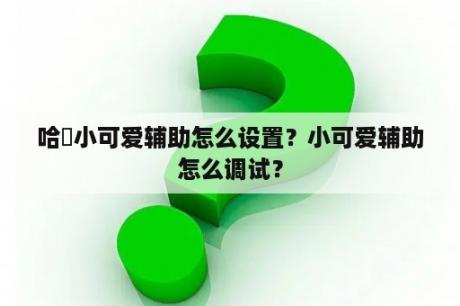 哈啰小可爱辅助怎么设置？小可爱辅助怎么调试？