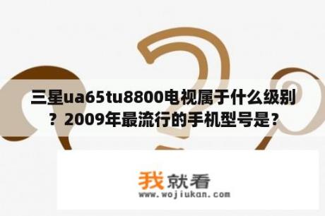 三星ua65tu8800电视属于什么级别？2009年最流行的手机型号是？