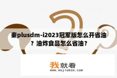 秦plusdm-i2023冠军版怎么开省油？油炸食品怎么省油？