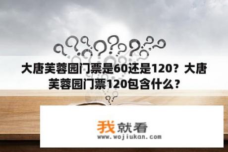 大唐芙蓉园门票是60还是120？大唐芙蓉园门票120包含什么？