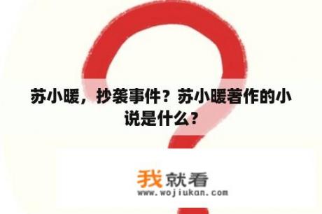 苏小暖，抄袭事件？苏小暖著作的小说是什么？