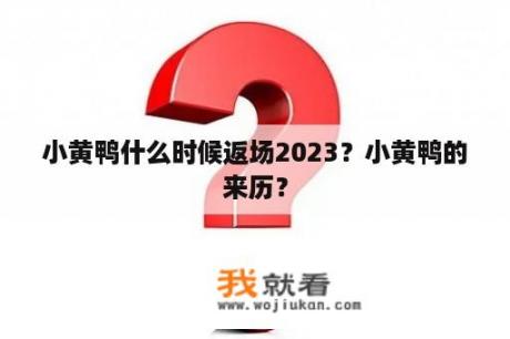 小黄鸭什么时候返场2023？小黄鸭的来历？