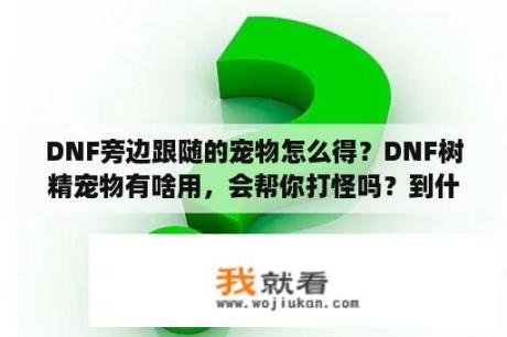 DNF旁边跟随的宠物怎么得？DNF树精宠物有啥用，会帮你打怪吗？到什么时候才会帮你打？