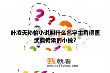 叶凌天孙怡小说叫什么名字主角得医武典传承的小说？