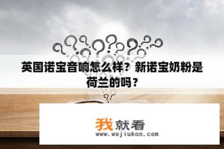 英国诺宝音响怎么样？新诺宝奶粉是荷兰的吗？