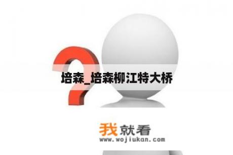 培森_培森柳江特大桥