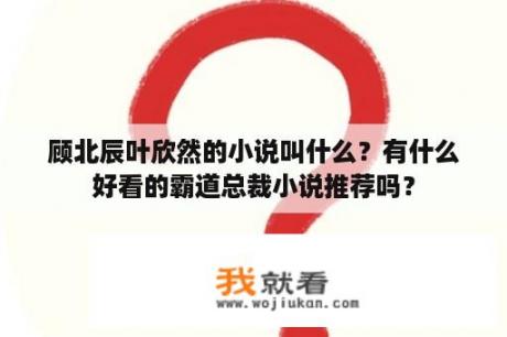 顾北辰叶欣然的小说叫什么？有什么好看的霸道总裁小说推荐吗？