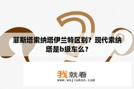 菲斯塔索纳塔伊兰特区别？现代索纳塔是b级车么？