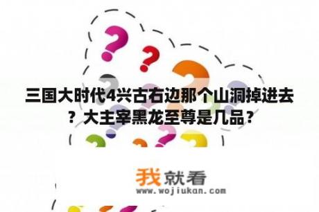 三国大时代4兴古右边那个山洞掉进去？大主宰黑龙至尊是几品？