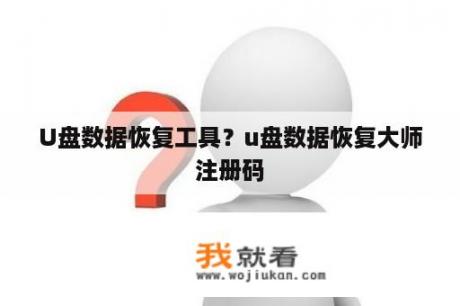 U盘数据恢复工具？u盘数据恢复大师注册码