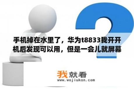 手机掉在水里了，华为t8833我开开机后发现可以用，但是一会儿就屏幕失灵了，怎么点也没有用。怎么办？华为t8833