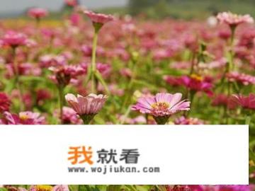 农博会长春2023游览攻略？长春莲花山旅游攻略？