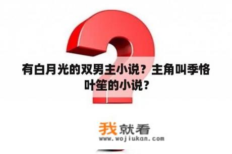 有白月光的双男主小说？主角叫季恪叶笙的小说？