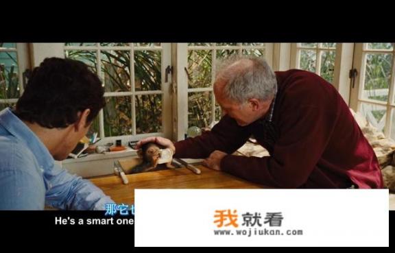 《猩球崛起》好看吗？讲的是什么？猩球崛起3在线观看完整