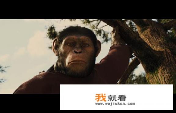 《猩球崛起》好看吗？讲的是什么？猩球崛起3在线观看完整