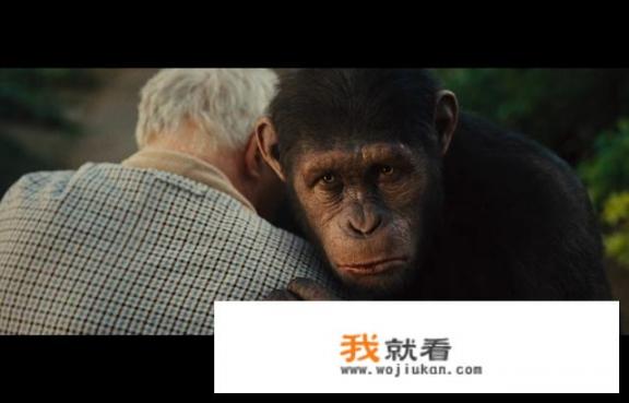 《猩球崛起》好看吗？讲的是什么？猩球崛起3在线观看完整