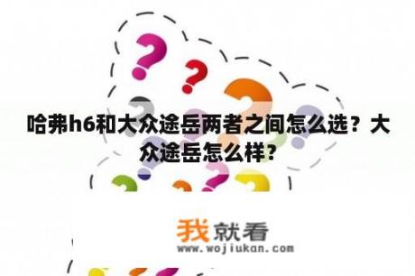哈弗h6和大众途岳两者之间怎么选？大众途岳怎么样？