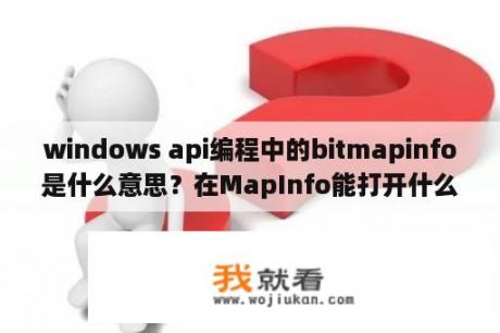 windows api编程中的bitmapinfo是什么意思？在MapInfo能打开什么文件格式？