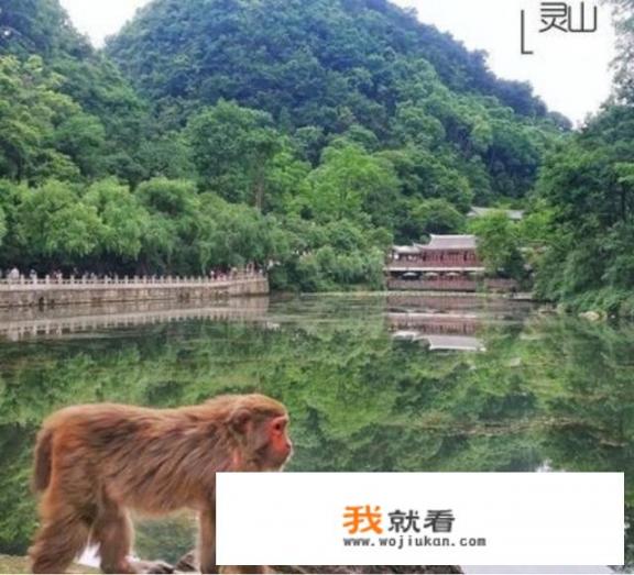 贵州旅游必去的景点有哪些？贵阳旅游必去景点攻略？