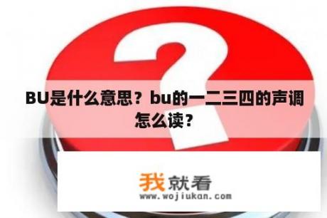 BU是什么意思？bu的一二三四的声调怎么读？