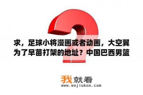 求，足球小将漫画或者动画，大空翼为了早苗打架的地址？中国巴西男篮群殴事件