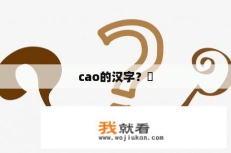 cao的汉字？肏