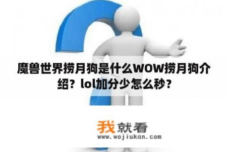 魔兽世界捞月狗是什么WOW捞月狗介绍？lol加分少怎么秒？