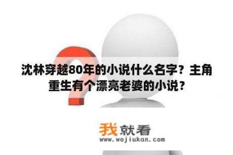 沈林穿越80年的小说什么名字？主角重生有个漂亮老婆的小说？