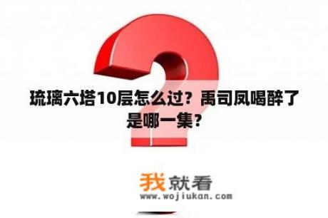 琉璃六塔10层怎么过？禹司凤喝醉了是哪一集？