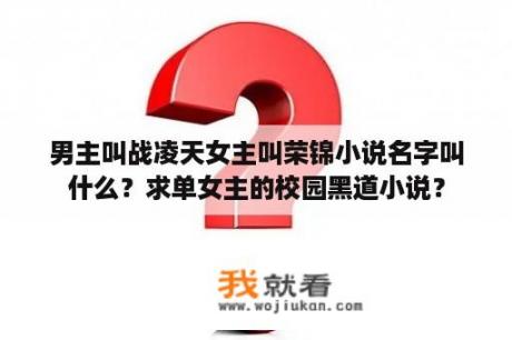 男主叫战凌天女主叫荣锦小说名字叫什么？求单女主的校园黑道小说？