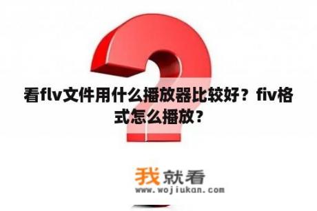 看flv文件用什么播放器比较好？fiv格式怎么播放？