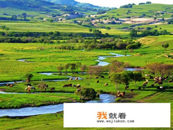 大滩镇坝上草原自驾游攻略？坝上最佳旅游时间？
