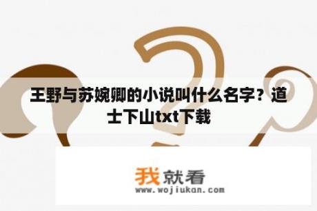 王野与苏婉卿的小说叫什么名字？道士下山txt下载