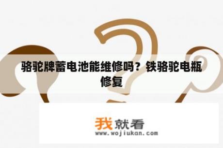 骆驼牌蓄电池能维修吗？铁骆驼电瓶修复